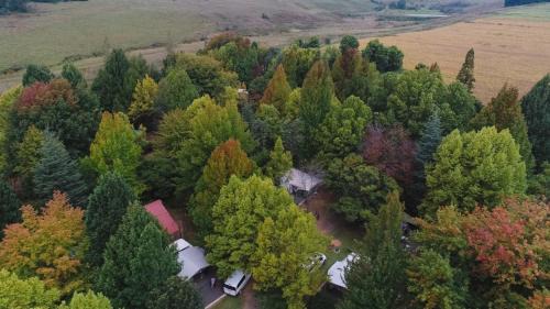 Cathkin Park Other | Mountain Splendour Eco Resort