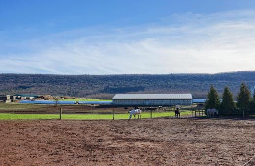Spring Glen House | Mountain Sunrise Retreat