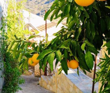 Kalo Chorio House | Mountain Traditional Village House Writer's Retreat