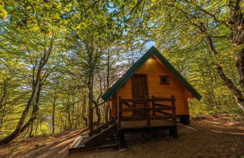 Montenegro Cabin | Mountain Tree House Komovi-Radunovic