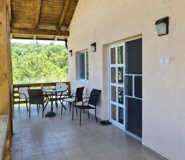 Valea Mare-Pravat House | Mountain View 2 - ciubar