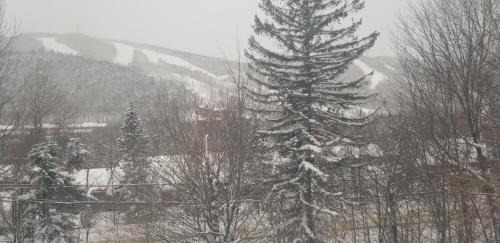 Stoneham House | Mountain view chalet avec vue sur la montagne