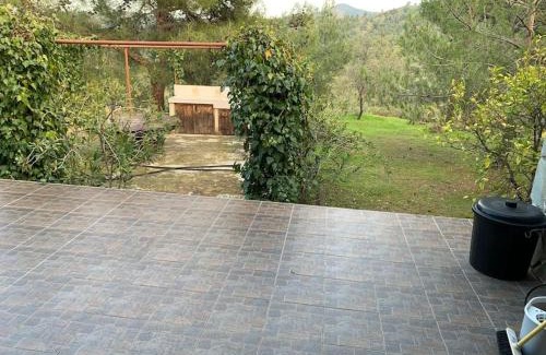 Vasa Koilaniou House | Mountain View! Cosy life