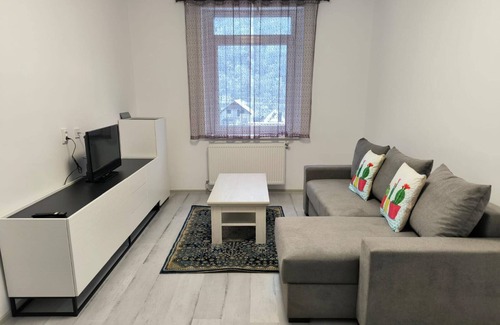 Baia Mare Apartment | Mountain view, cozy 1-bedroom apartment in charming Baia Mare with WiFi