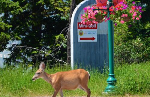 East Kootenay Apartment | Mountain View Radium Condo - Copper Horn Village