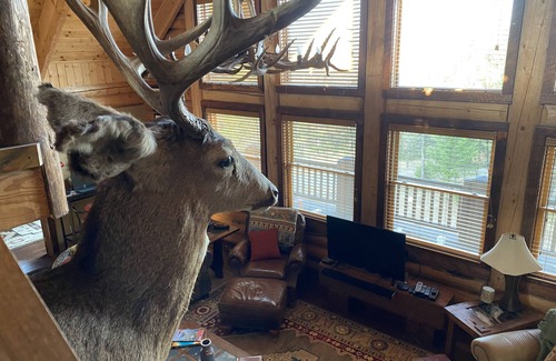 Wineglass Cabin | Mountainside Luxurious/Rustic Log Home~Majestic Views~Prime Location