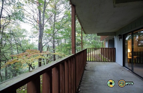 Mount Jackson Condo | Mountainside Retreat Condo (#2-101) | Lower-level | Quiet & secluded