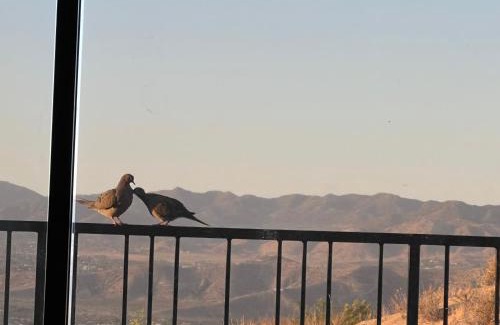 Yucca Valley Villa | Mountainside Retreat