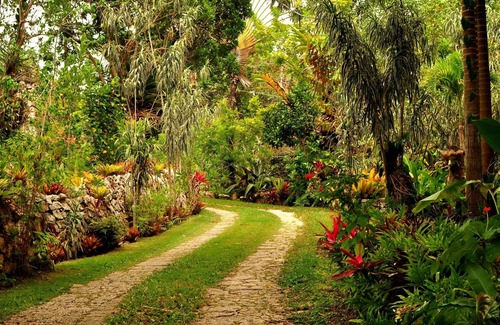 Caledonia Villa | Mountambrin TheaterGallery ~ A Villa & Artist Retreat