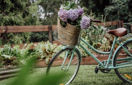 Canungra House | Mountview Alpaca Farmhouse
