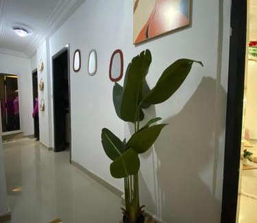 Same Apartment | MOUNTY Evasion