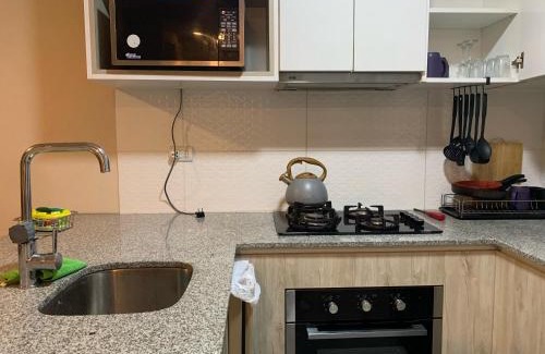 Pueblo Libre Apartment | Mousse PL