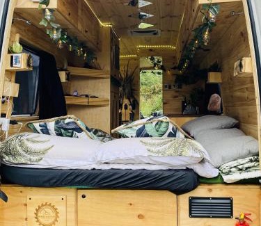 Bondi Beach Apartment | Mr Rainforest the Campervan