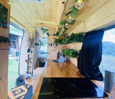 Bondi Beach Apartment | Mr Rainforest the Campervan