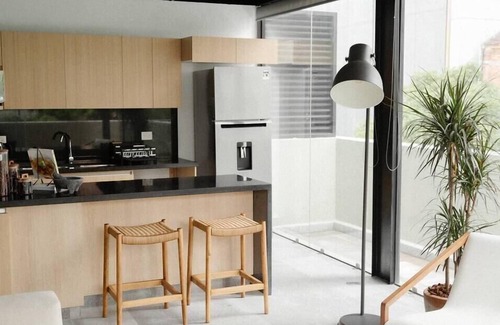 Colonia Cuauhtemoc Apartment | Mr. W | 2BR PH, Prime location Reforma Financial