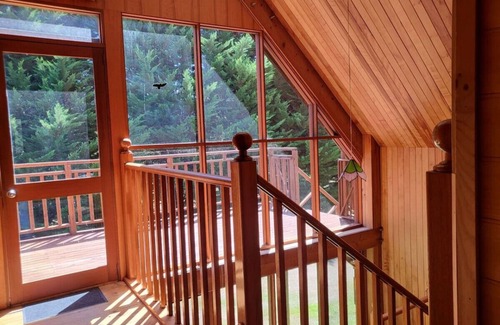 Gray House | Mt Elephant Bush Retreat - Gray