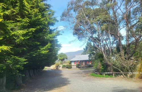 Gray Cabin | Mt Elephant Forrest Cabin