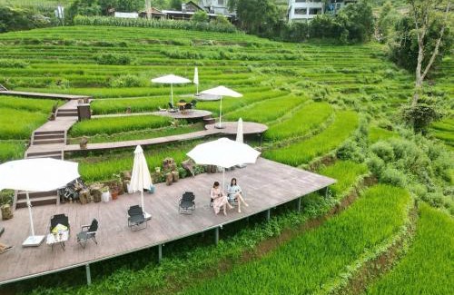 Hau Thao House | MT House Sa Pa - Mountain & Terraced fields View And Trekking Tour