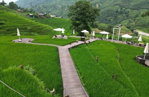 Hau Thao House | MT House Sa Pa - Mountain & Terraced fields View And Trekking Tour