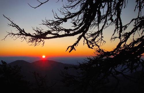 Burnsville Cabin | Mt Mitchell Cabin Rentals