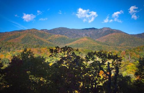 Burnsville Cabin | Mt Mitchell Cabin Rentals