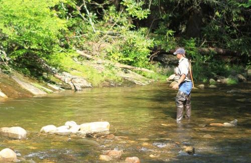 Burnsville Cabin | Mt Mitchell Cabin Rentals