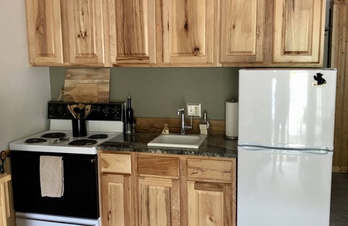 Mead Condo | Mt Spokane updated Ski Condo WiFi, Pool & Hot Tub~sleeps 4~hike, bike, explore