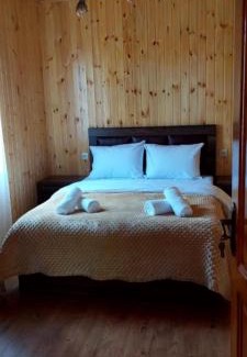 Zeda Gordi House | Mtis guli
