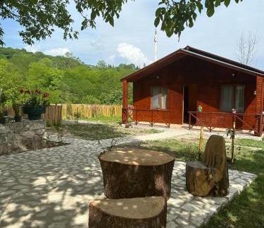 Zeda Gordi House | Mtis guli