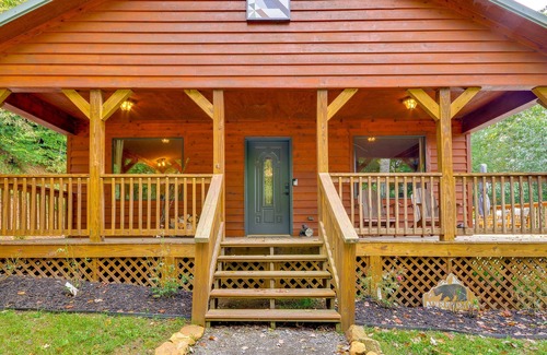 Woodlawn Cabin | Mtn View + Fire Pit: Pet-Friendly Woodlawn Cabin!