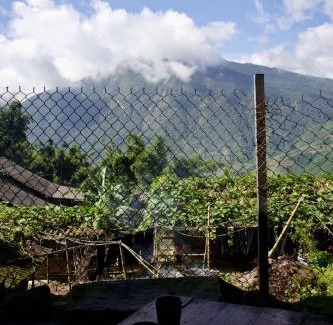 Hau Thao House | Mu Sapa Trekking and Homestay