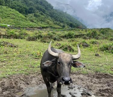 Hau Thao House | Mu Sapa Trekking and Homestay