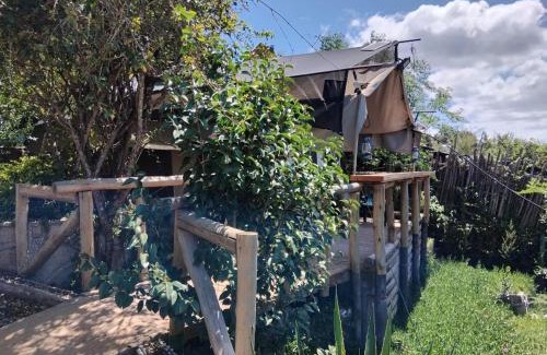 Machakos Hotel | Mua Hills Tented Camp