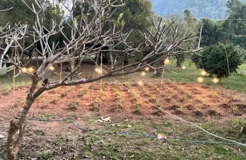 Chiang Rai House | Muangkham Peaceandlove Farm