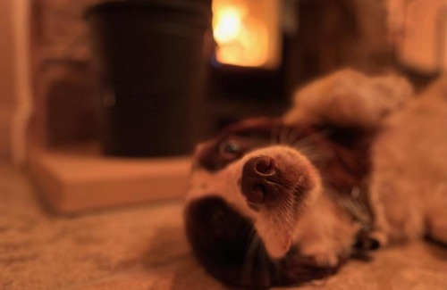 Taddington House | Muddy Paws Cottages - The Nook