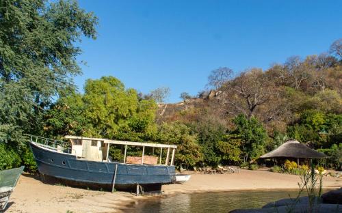 Monkey Bay Cabin | Mufasa Eco Lodge