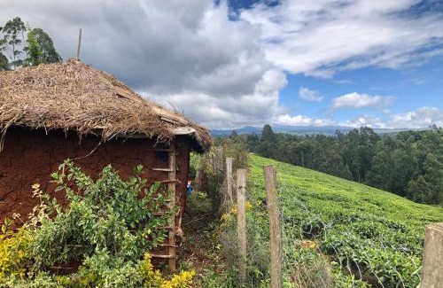 Nyeri Other | Mukungas Hut