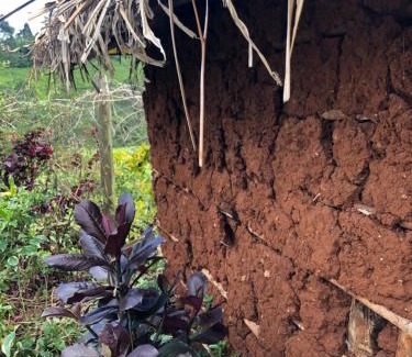 Nyeri Other | Mukungas Hut