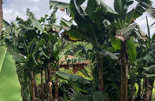 Nyeri Other | Mukungas Hut