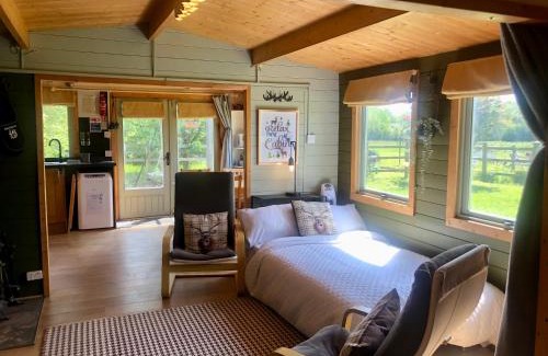 Broom Other | Mulberry Cottage Farm