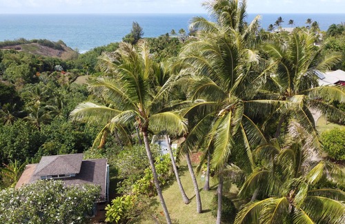 Kilauea House | Multi-Dwelling, Private Estate with Ocean Views and Two Hot Tubs TVNC#4284