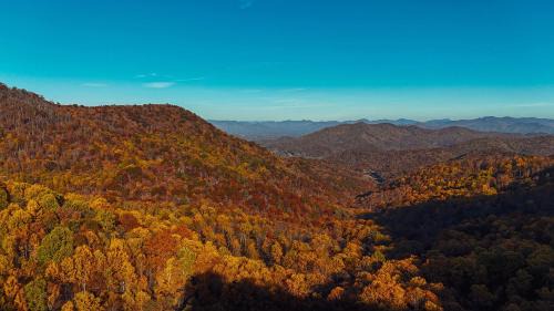 Saluda House | Multiple cabins at Cabin Fever