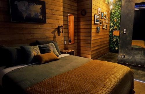 Charleval Bed & Breakfast | Multiverse Suite immersive