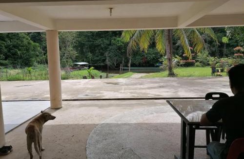 Mulu House | Mulu Diana Homestay