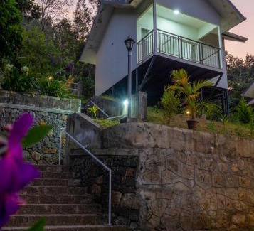Kunchithanny Resort | Munnar Majestic Resort with Pool
