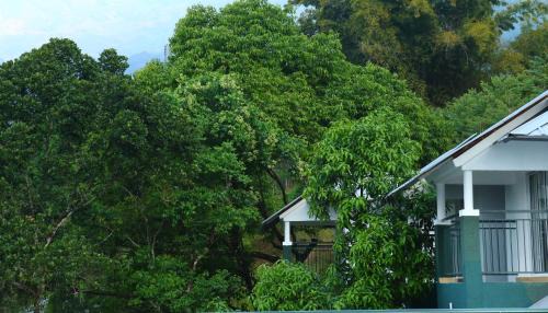 Devikolam Resort | Munnar Tea Hills Resort - MTHR