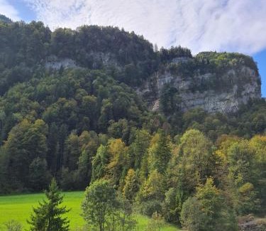Saint Georgen Ot Brigach Apartment | Muota River Loft & Muota Industry Apartment near Stoos
