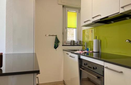 Muralto Apartment | Muralto - Locarno: Miramonti Apt.5