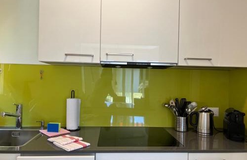 Muralto Apartment | Muralto - Locarno: Miramonti Apt.5