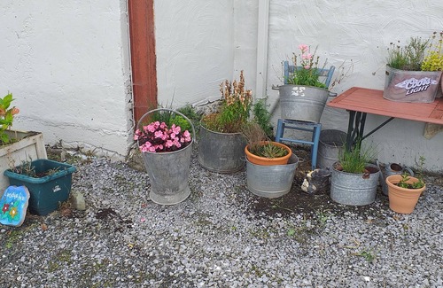 Ballyduff Cottage | Murphy's Irish Farmhouse Near Ballybunion